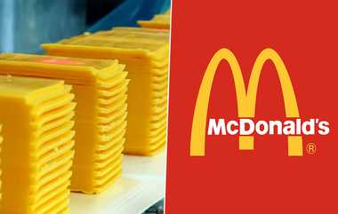 MH FDA Close MC Donald Restaurant: தரம் குறைந்த பொருட்களை பயன்படுத்தி உணவு தயாரித்து வழங்கிய மெக் டொனால்ட்; இழுத்து பூட்டிய அதிகாரிகள்.!