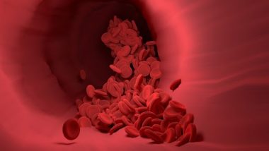 How To Increase Hemoglobin Levels: உடலில் ஹீமோகுளோபின் அளவு குறைந்தால் என்ன ஆகும்?. அதனை அதிகரிப்பதற்கான வழிமுறைகள்..!