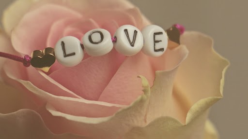Rose Day: காதலர் வாரம் ஆரம்பம்.. முதல் நாளே ரோஸ் தினம்.. இதன் வரலாறு என்ன தெரியுமா?.!