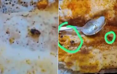 Cockroach Dosa in Madras Cafe: சுடச்சுட வழங்கப்பட்ட தோசையில், மொறுவலாக கிடந்த 8 கரப்பான் பூச்சிகள்: பெண்ணை பதறவைத்த டெல்லி மெட்ராஸ் மெட்ராஸ் கபே..!