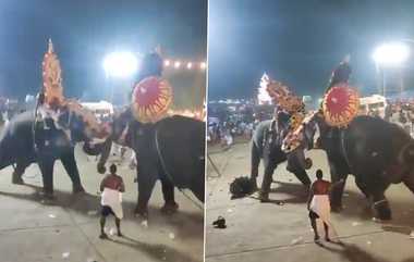 Elephants Fight in Temple Festival: வாலை பிடித்து வம்பு; ஆத்திரத்தில் திருவிழா கூட்டத்தையே கதிகலங்க வைத்த யானை.!