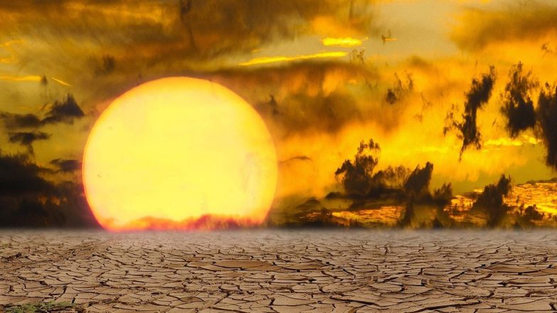 Heatwave Death: சுட்டெரிக்கும் வெயிலால் 6 பேர் உயிரிழப்பு - சுகாதாரத்துறை தகவல்..!
