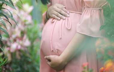 Pregnant Woman Case: வலியால் அவதிப்பட்ட கர்ப்பிணி.. விடுமுறை அளிக்காத உயர் அதிகாரி.., நடந்தது என்ன..?