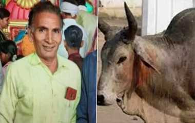 Aged Man Died by Bull Attack: திடீர் ஆவேசமாகி முட்டிதூக்கிய காளை.. பாஜக பிரமுகர் பரிதாப பலி.. ஊருக்காக வாழ்ந்து துள்ளத்துடிக்க பறிபோன உயிர்.!