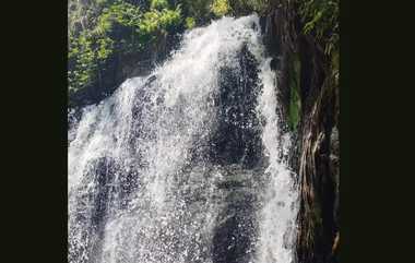 Papanasam Agasthiyar Falls: அகஸ்தியர் அருவியில் தண்ணீர் வரத்து அதிகரிப்பு; சுற்றுலா பயணிகள் மகிழ்ச்சி..!