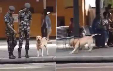 Dog Cute Moment: கமாண்டரின் அனுமதியுடன் துள்ளிக்குதித்து பணிக்கு திரும்பிய நாய்; வியக்கவைக்கும் வீடியோ வைரல்.!