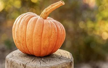 Medicinal Benefits Of Pumpkin: பூசணியின் மருத்துவ பயன்கள் என்னென்ன..? விவரம் உள்ளே..!