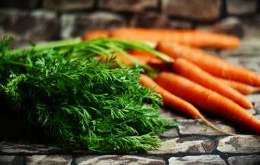 International Carrot Day: சர்வதேச கேரட் தினம்.. இது இல்லாம பொரியலே கிடையாது..!